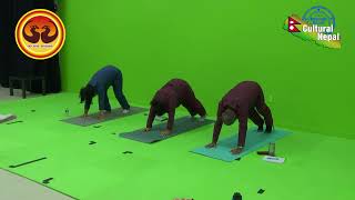 CNS Sadhana | Surya namaskar