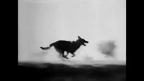 Jason Fickel plays guitar for a 1925 Rin Tin Tin s...