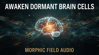 Awaken Dormant Neural Stem Cells: Morphic Field for Brain Regeneration & Neurogenesis