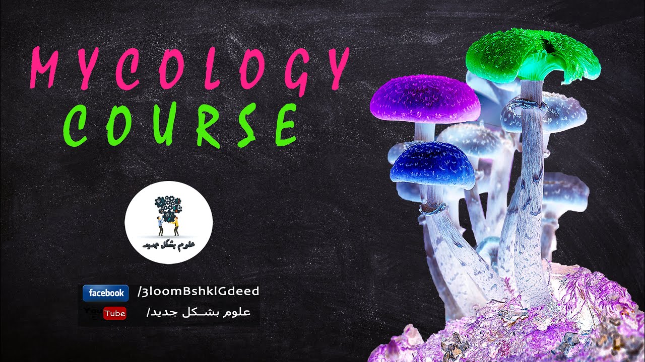 محاضرات كورس علم الفطريات Mycology | محاضرة 1 | Definition and general characters