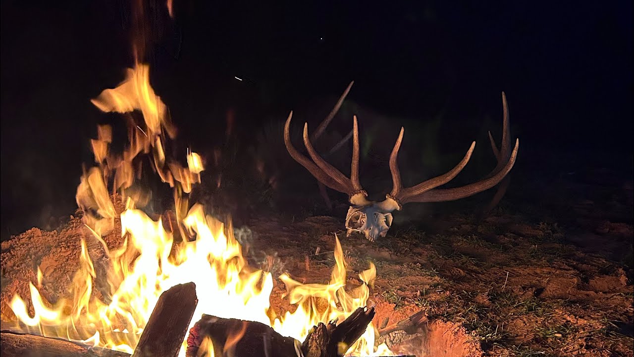 2025 3rd season Colorado elk hunt 