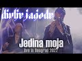 Divlje Jagode - Jedina moja (Live in Beograd 2022)