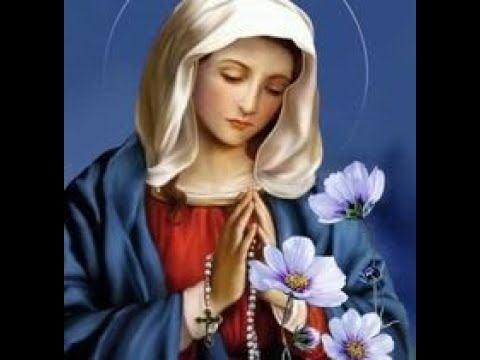 Video Giờ Kinh Bên Mẹ - 29/10/22 - youtube