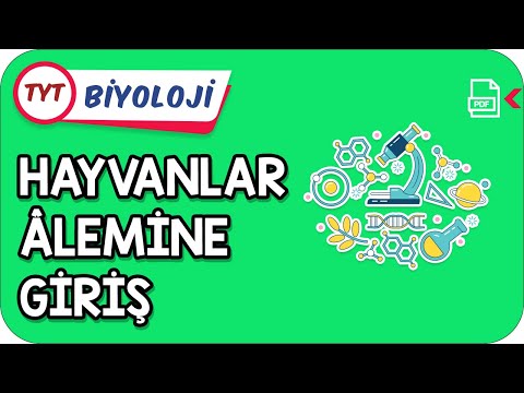 Hayvanlar Âlemine Giriş | TYT Hızlanış Kampı #Kamp2021