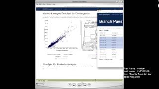 New Tools for Identifying Convergent Molecular Evolution across Entire Phylogenies