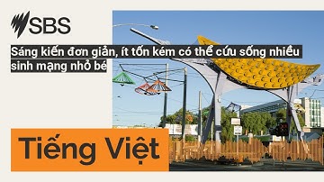 Sáng kiến đơn giản, ít tốn kém có thể cứu sống nhiều sinh mạng nhỏ bé | SBS Vietnamese - SBS...