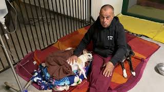 RIP Snoopy...  He's No Longer With Us.. - Takis Shelter