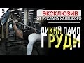 АЗЫ ТРЕНИНГА  5 выпуск / памповая тренировка груди от Руслана Халецкого