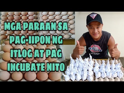 Video: Mga Tip sa Pag-iimbak ng mga Bulb na Sumibol na