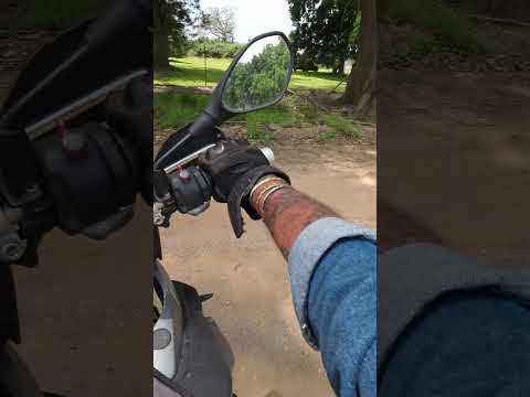 Dead Ends And Mielies 