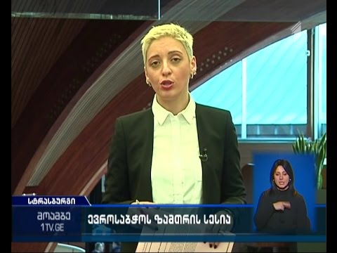 ოპოზიცია საარჩევნო საკითხებთან დაკავშირებით მოსაზრებებს ევროსაბჭოში გამოთქვამს