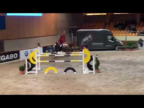 DAYTON SITTE ( Ogano Sitte x Clinton ) 4 eme du GP BMW 1,45m - Zilveren Spoor - Virginie Thonon