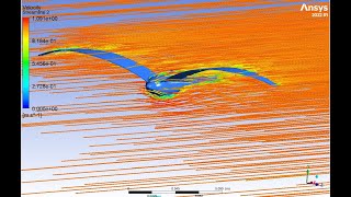 CFD simulation on bird screenshot 5