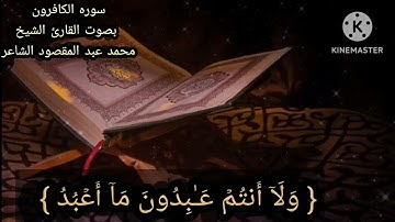 سوره الكافرون تلاوه عطره بصوت القارئ الشيخ محمد عبد المقصود الشاعر