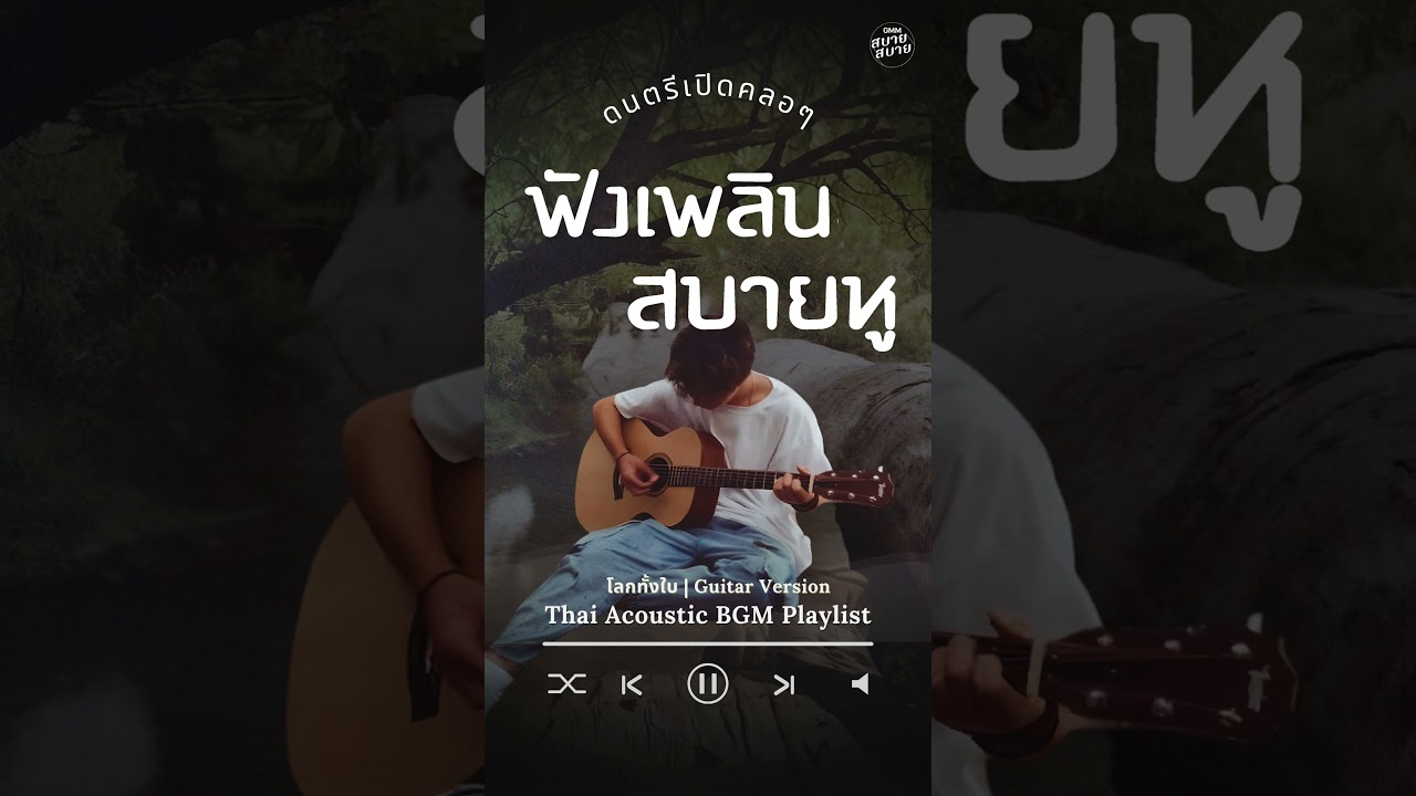 ดนตรีเปิดคลอๆ ฟังเพลินสบายหู | Thai Acoustic BGM