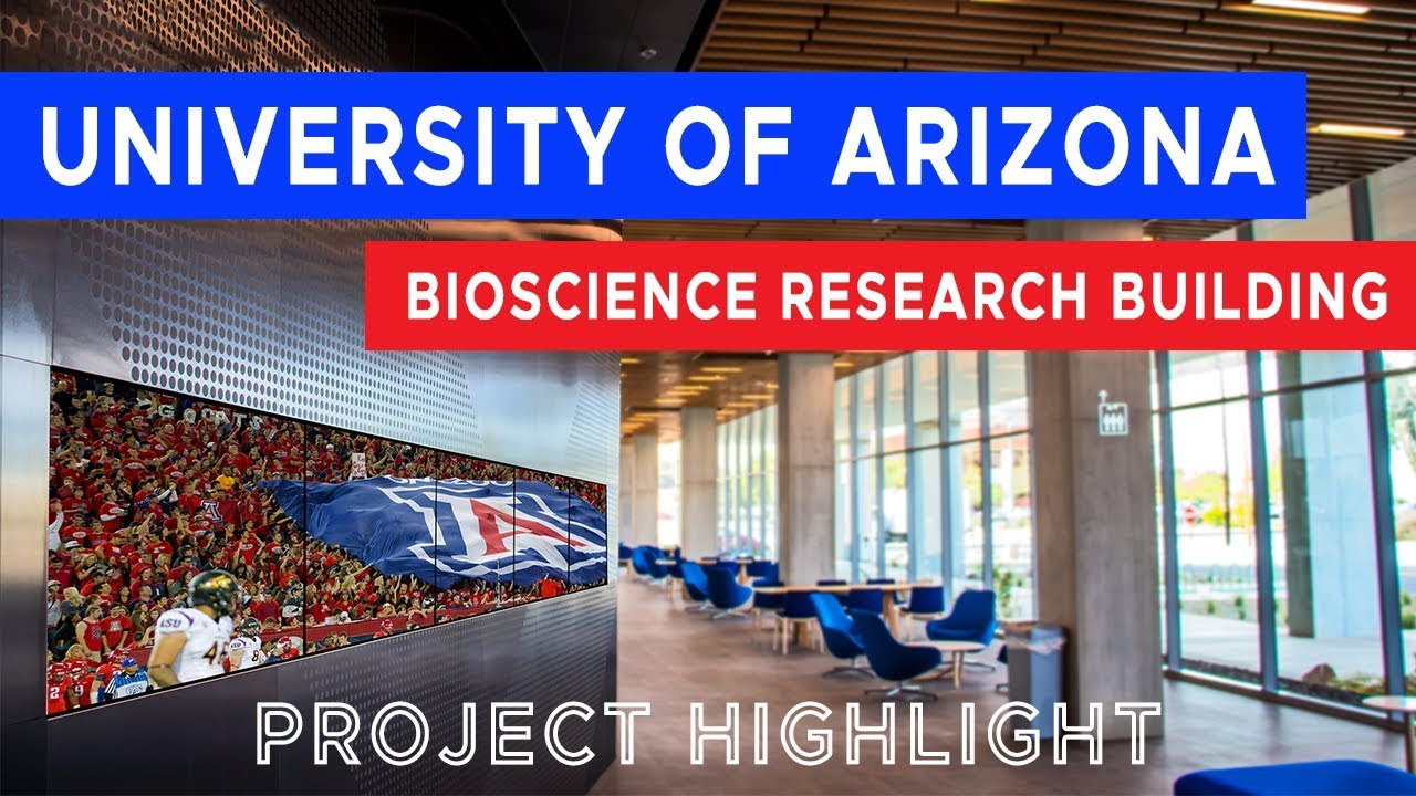 biology project / universidad de arizona