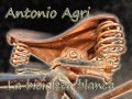 Antonio Agri -