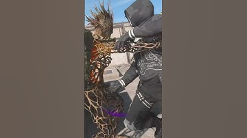 DAWG TAG #hesback #dmzpd #dmz #cod #warzone #mw2 #gaming #assassin