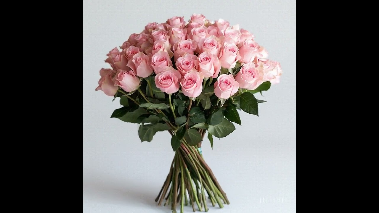 Global Rose on Youtube, How to make Fresh Flower Bouquets, Wedding Arrangements and much more!