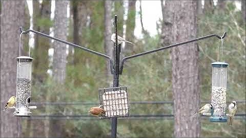 Erva Tool - FP5TER - 5 Piece Feeder Pole Set - 3 Extended Reach Arms