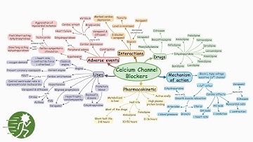 Calcium Channel Blockers | Mind map