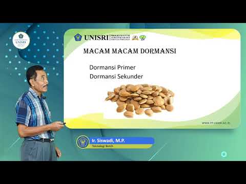 Video: Perlakuan Dingin Untuk Benih - Apa Itu Stratifikasi Dan Stratifikasi Dingin Benih Diperlukan