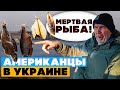 Американцы в ШОКЕ! Американская семья в Украине! Музей техники ФАЭТОН / Хортица  / Украина