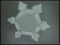 Masaru emoto  messages de leau documentaire