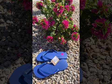 New Blue Havaianas!