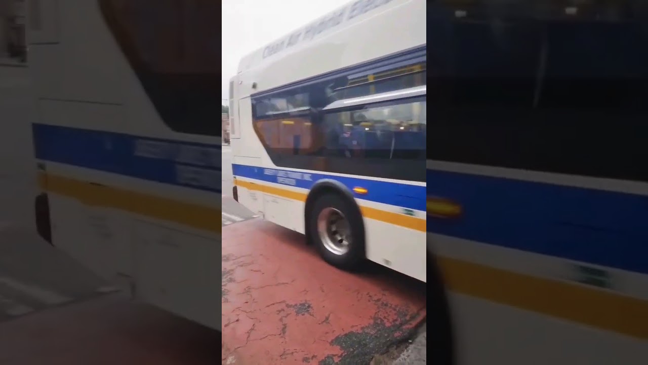 bee line bus: 330 BL60 @ Fordham & 3rd