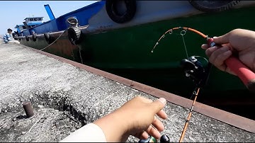 THỬ ĐI CÂU TÔM Ở CẢNG NƯỚC SÂU VỚI CÂY CẦN SIÊU DẺO