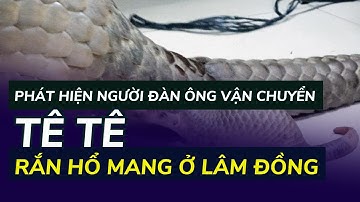 Phát hiện người đàn ông vận chuyển tê tê, rắn hổ mang ở Lâm Đồng