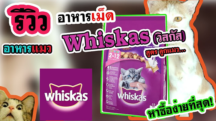 รีวิว อาหารแมวเม็ด ยี่ห้อ Whiskas(วิสกัส) ยี่ห้อนี้หาซื้อง่ายจริงๆนะ