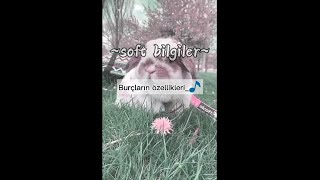 Burçların Özellikleri
