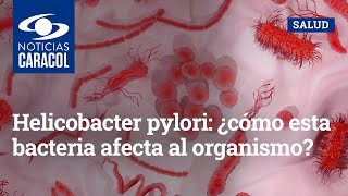 Helicobacter pylori: ¿cómo esta bacteria afecta al organismo?