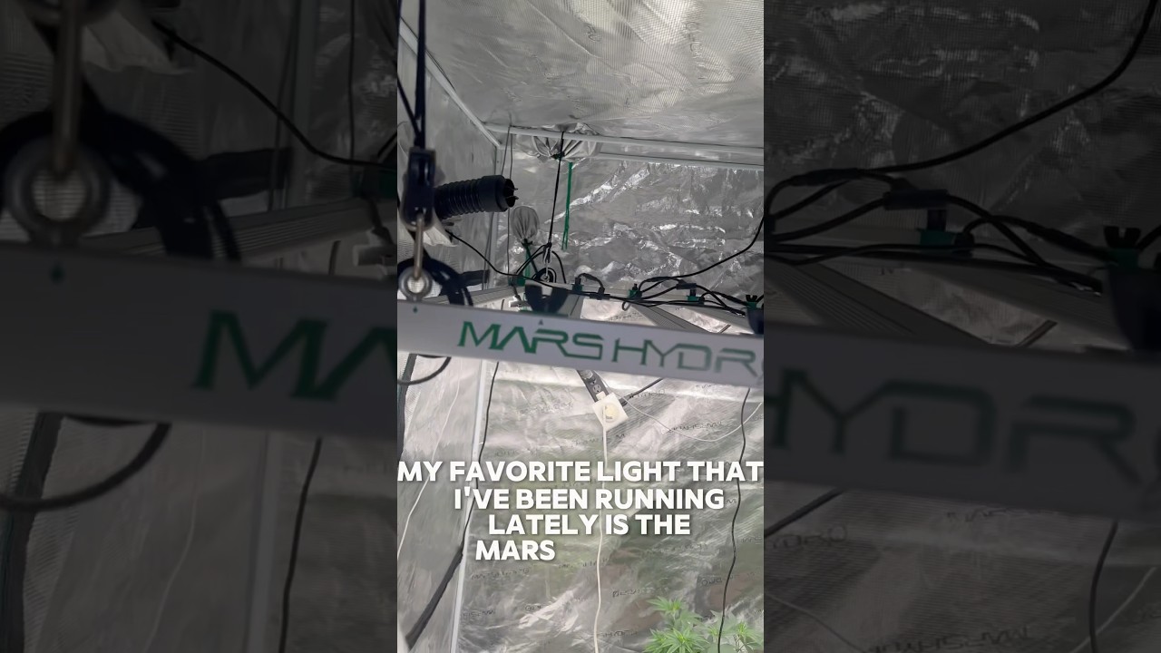 Not Gon Cap Mars Hydro FC8000 Evo Go Hard 💪🏾😮‍💨 