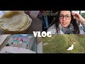 Vlog peinture lecture et cuisine 