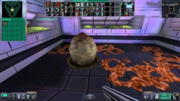 System Shock 2 [Part 04 - Hydroponics]