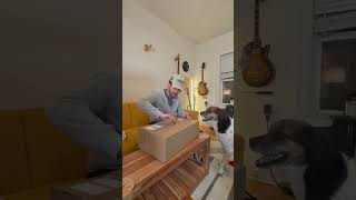 Pov: its new gear day