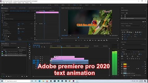 Hướng dẫn chèn chữ trong premiere cc