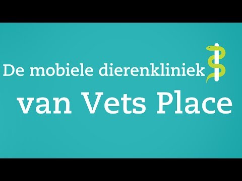 Video: Mobiele Dierenartsklinieken: Wat Zijn Ze?