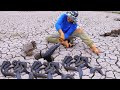 EP51 - Amazing Hand Fishing Video!!! Catch Up A Lot Fishes From Underground Dry Hole On Season Dry