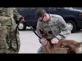 Soldier service dog reunite months after they were injured in Afghanistan