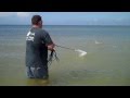 commercial wade fishing with a 12ft cast net