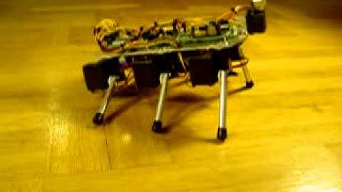 Six-legged robot Stampe 6 scratching :-)