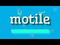 How to say "motile"! (High Quality Voices)