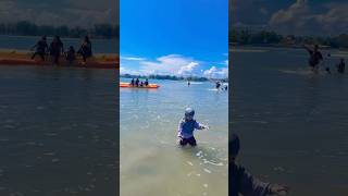 Bathing In The Beach Pool shorts short trending funny beach comedy