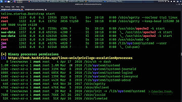 LinPEAS - Linux Privilege Escalation Awesome Script ~ Automated scan Vuln to Privilege Escalation