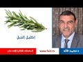 إكليل الجبل| ROSEMARY | الدكتور محمد فائد