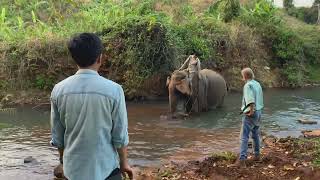 កូនដំរីញី ព្រះទេវី ណូអែល អច្ឆរិយ៍ AIRAVATA